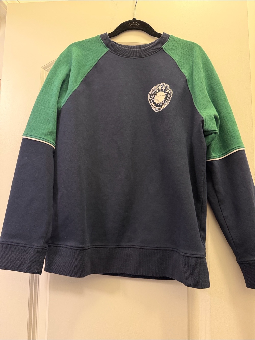 Boys Navy and Green Crewneck Sweatshirt